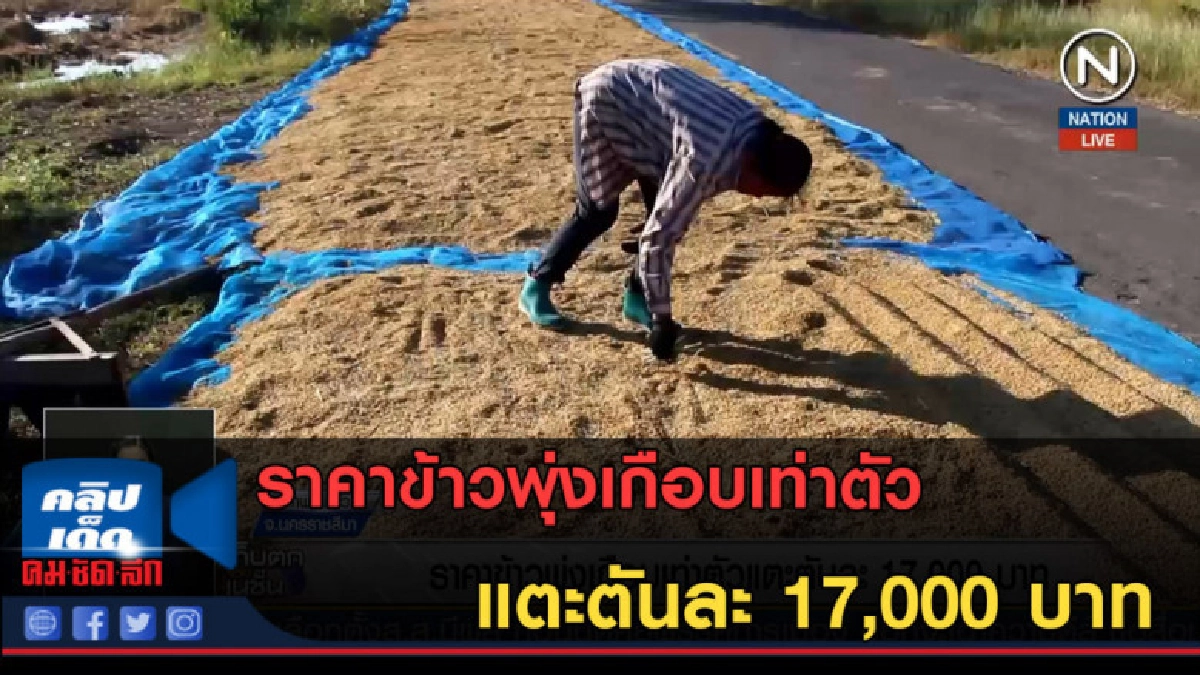 (คลิปข่าว) ราคาข้าวพุ่งเกือบเท่าตัว แตะตันละ 17,000 บาท (คลิปข่าว) ราคาข้าวพุ่งเกือบเท่าตัว แตะตันละ 17,000 บาท