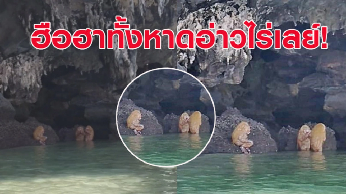 ไม่ใช่ลิง! นทท. โพสต์คลิปสัตว์ประหลาดนั่งพนมมือหน้าหาด ไม่ใช่ลิง! นทท. โพสต์คลิปสัตว์ประหลาดนั่งพนมมือหน้าหาด