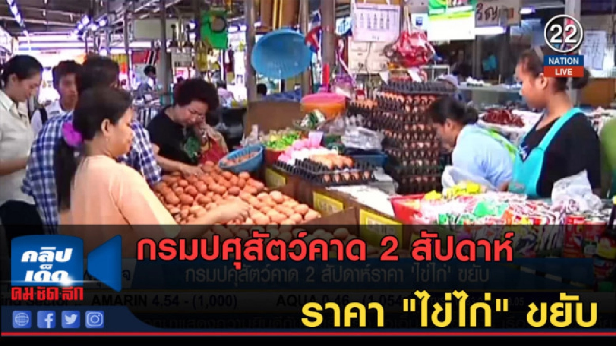 (คลิปข่าว) กรมปศุสัตว์คาด 2 สัปดาห์ ราคา "ไข่ไก่" ขยับ