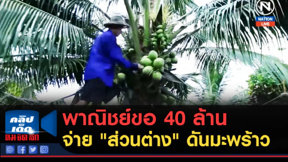 (คลิปข่าว) พาณิชย์ขอ 40 ล้าน จ่าย "ส่วนต่าง" ดันราคามะพร้าว (คลิปข่าว) พาณิชย์ขอ 40 ล้าน จ่าย "ส่วนต่าง" ดันราคามะพร้าว