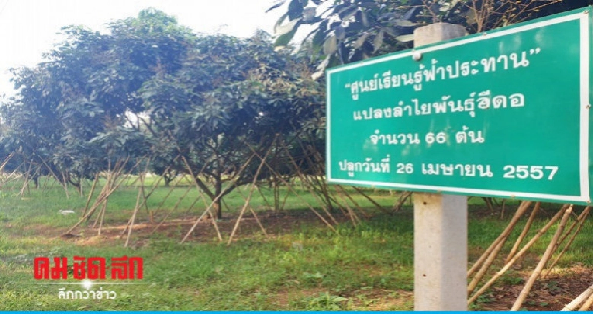ทายาทเดอะมอลล์ผ่อนผันชี้แจงส.ป.ก.