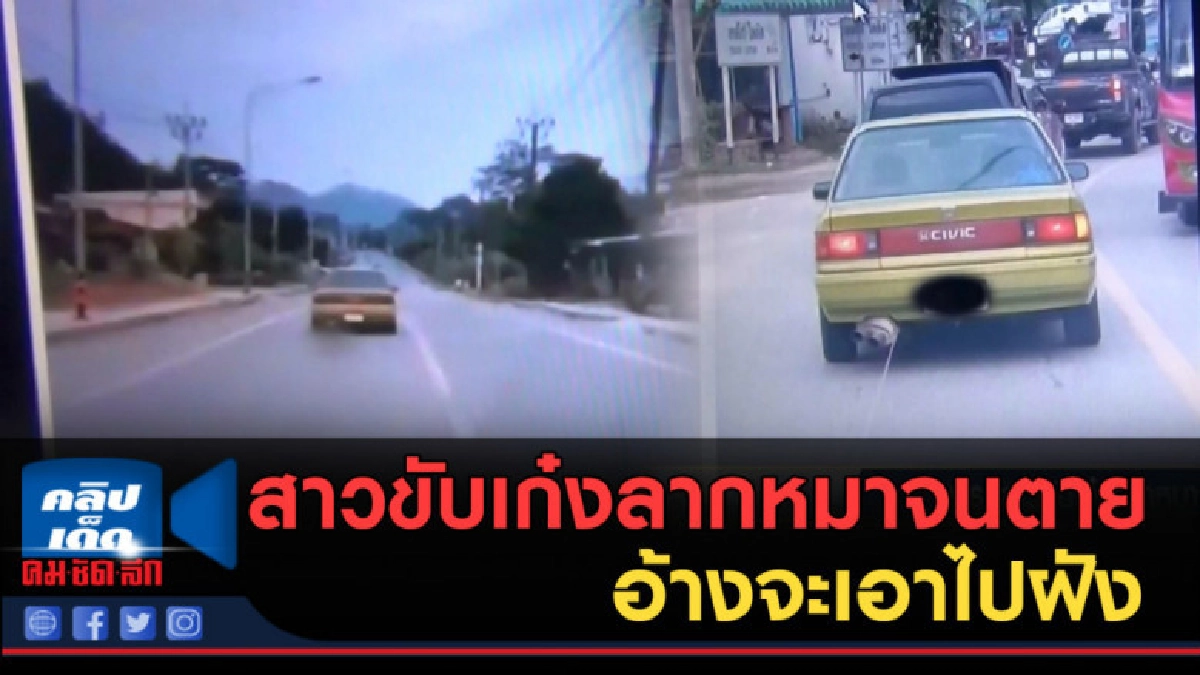 (คลิปข่าว) พิรุธ!...สาวขับเก๋งลากหมาจนตาย อ้างจะเอาไปฝัง