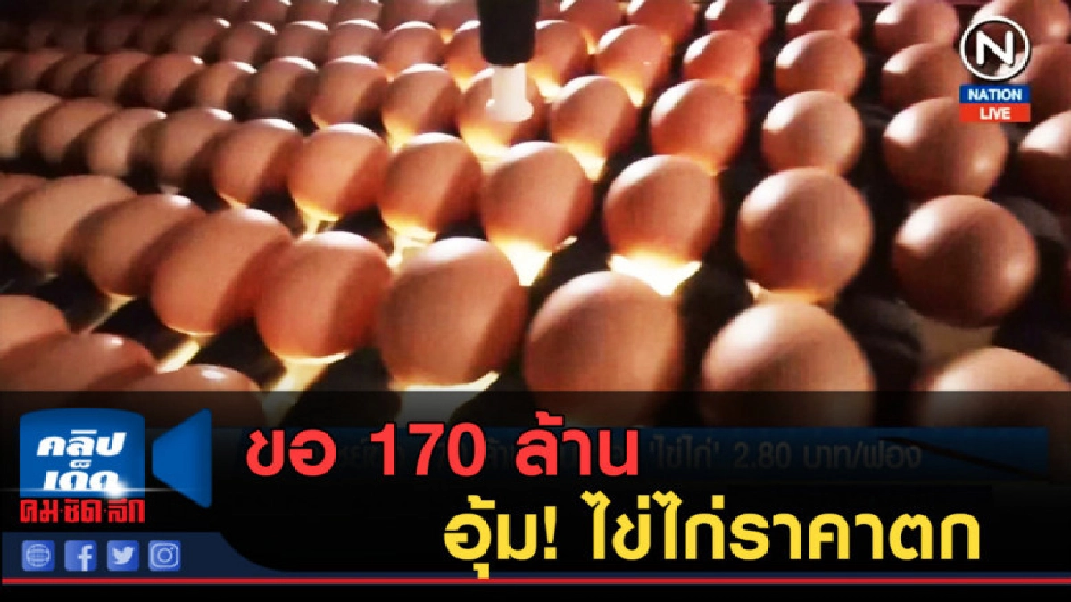 (คลิปข่าว) ไข่ไก่ราคาตก พาณิชย์ขอ 170 ล้าน อุ้ม! (คลิปข่าว) ไข่ไก่ราคาตก พาณิชย์ขอ 170 ล้าน อุ้ม!