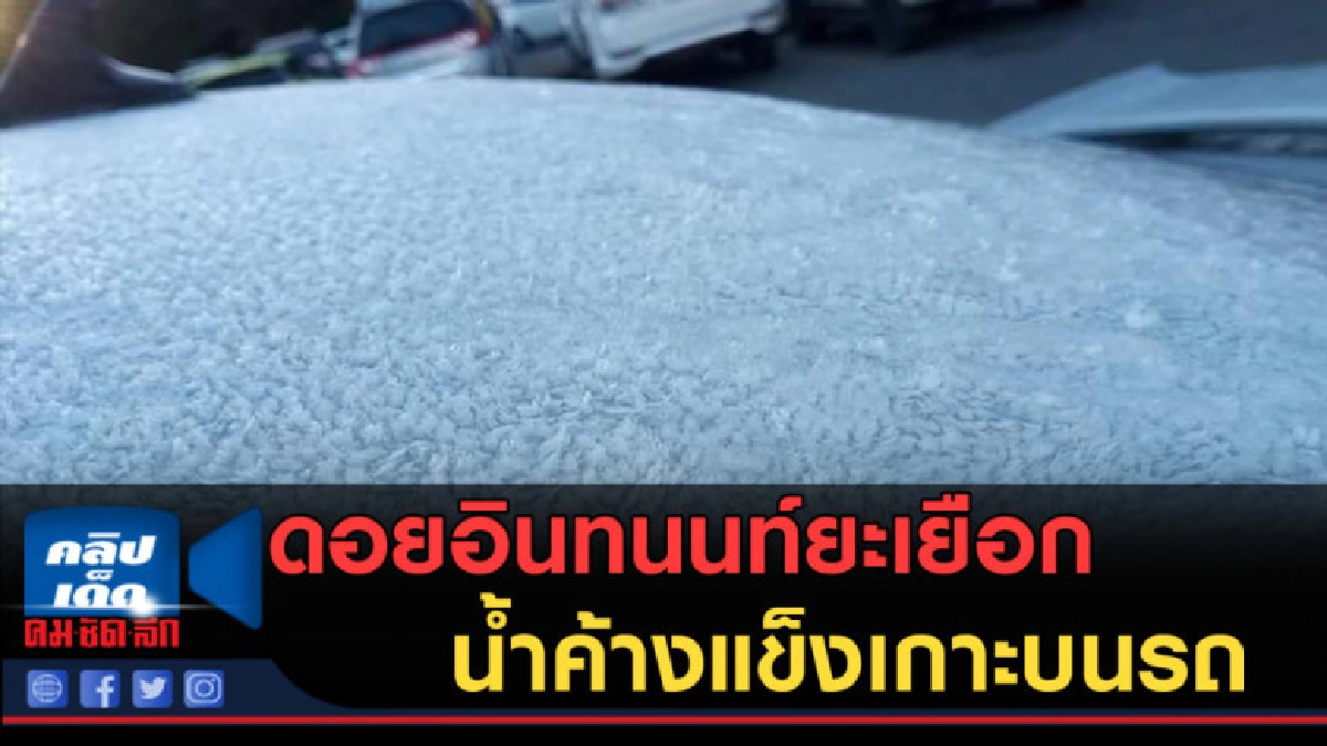 (คลิปข่าว) ดอยอินทนนท์ยะเยือก น้ำค้างแข็งเกาะบนรถ (คลิปข่าว) ดอยอินทนนท์ยะเยือก น้ำค้างแข็งเกาะบนรถ