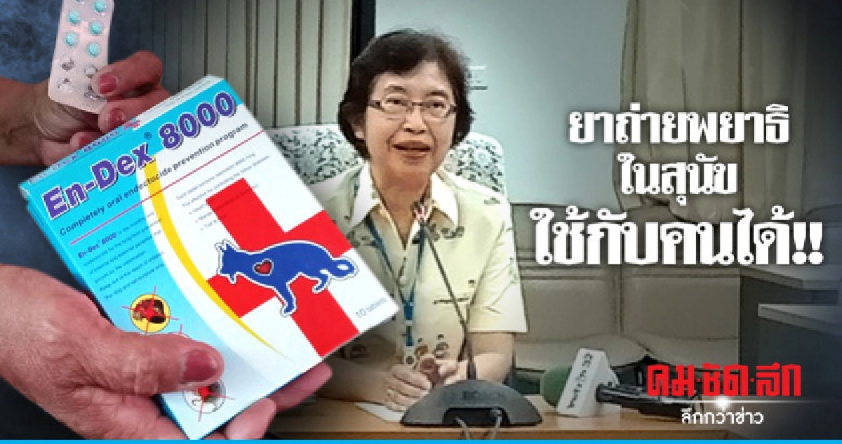 รพ.อ่างทอง แจงยาถ่ายพยาธิในสุนัขใช้กับคนได้ รพ.อ่างทอง แจงยาถ่ายพยาธิในสุนัขใช้กับคนได้