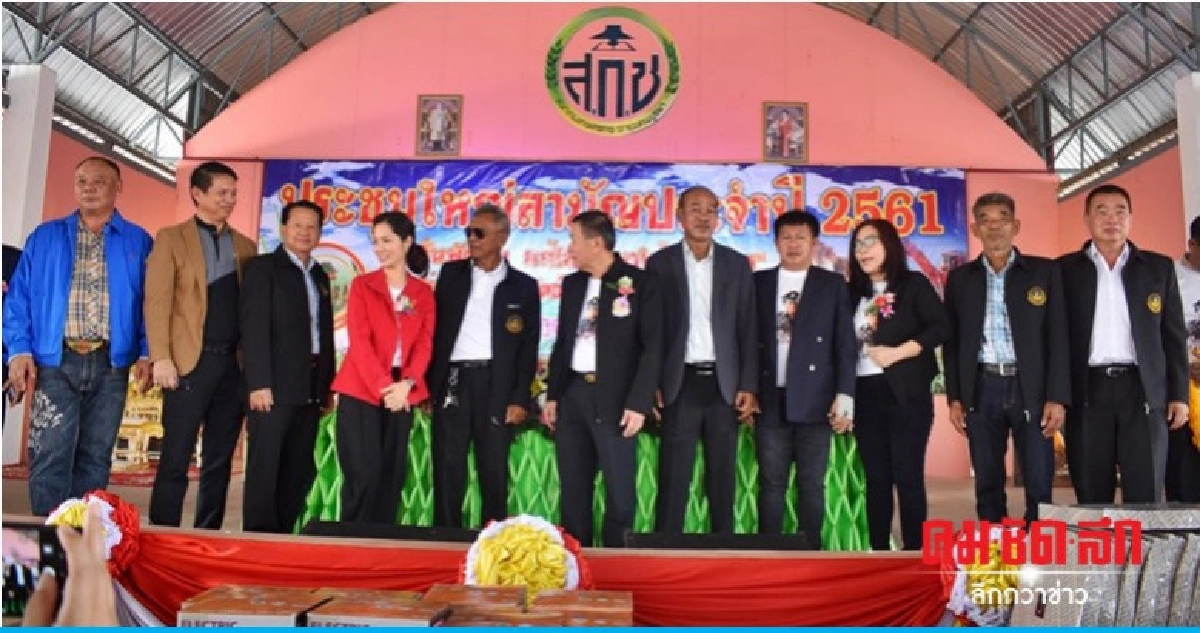 ทีม"เสนาะ-เสรีพิศุทธิ์-ตรีนุช" ลงพื้นที่ขอเสียงชาวไร่อ้อย ทีม"เสนาะ-เสรีพิศุทธิ์-ตรีนุช" ลงพื้นที่ขอเสียงชาวไร่อ้อย