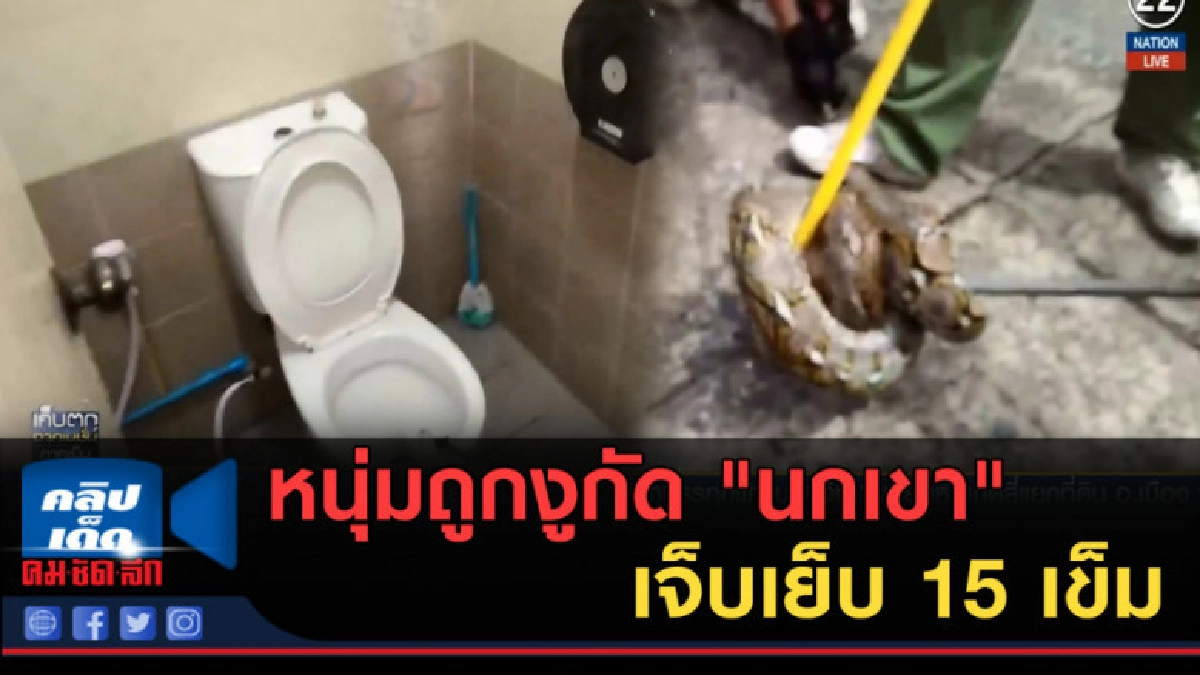 (คลิปข่าว) หนุ่มถูกงูกัด "นกเขา" เจ็บเย็บ 15 เข็ม (คลิปข่าว) หนุ่มถูกงูกัด "นกเขา" เจ็บเย็บ 15 เข็ม