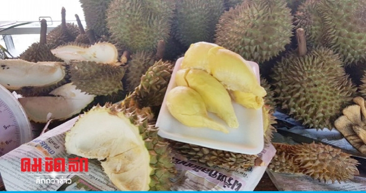 สศก.ขยายพิกัดศุลกากรสินค้าเกษตรอินทรีย์เพิ่ม สศก.ขยายพิกัดศุลกากรสินค้าเกษตรอินทรีย์เพิ่ม