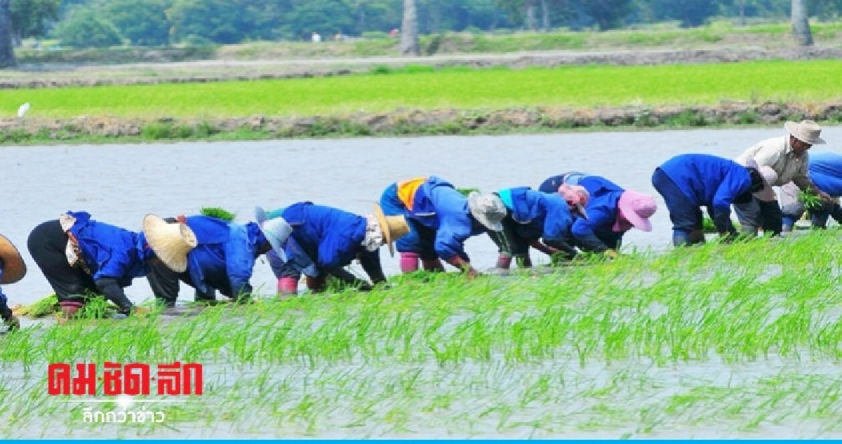 กองทุนฟื้นฟูฯโชว์ผลงานปลดหนี้เกษตรกรเกือบ 5 แสนราย