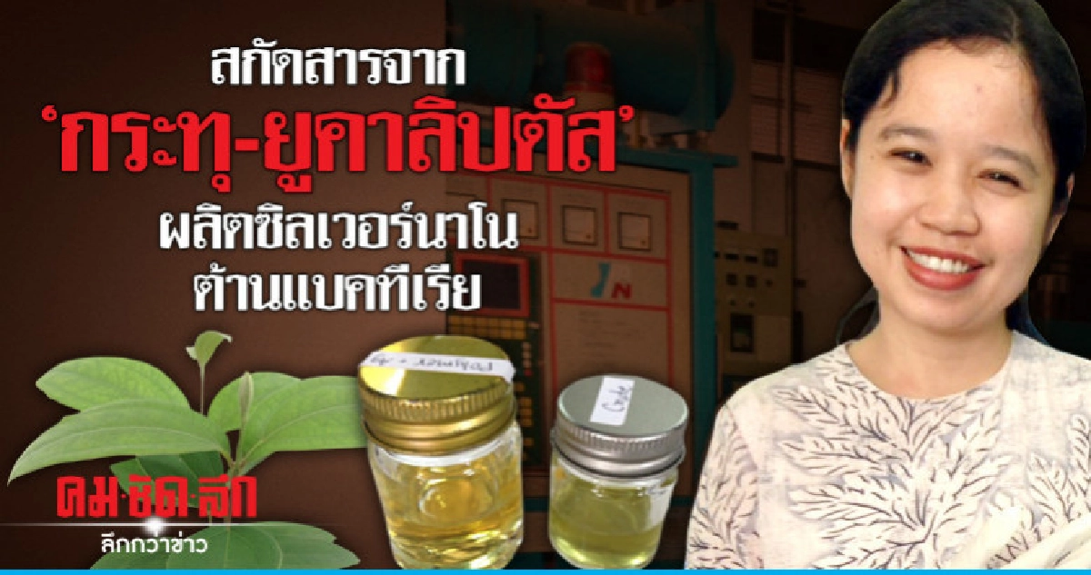 สกัดสารจาก "กระทุ-ยูคาลิปตัส"ผลิตซิลเวอร์นาโน ต้านแบคทีเรีย
