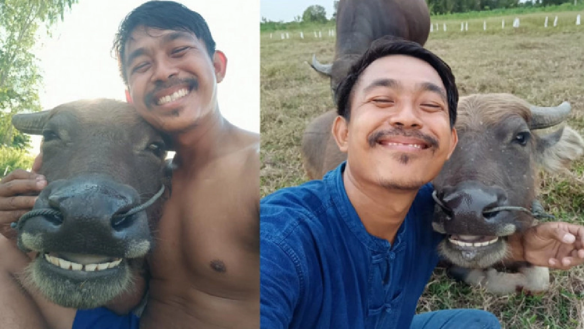 ขวัญใจชาวเน็ต! หนุ่มถ่ายรูปคู่กับควายด้วยใบหน้ายิ้มแฉ่ง