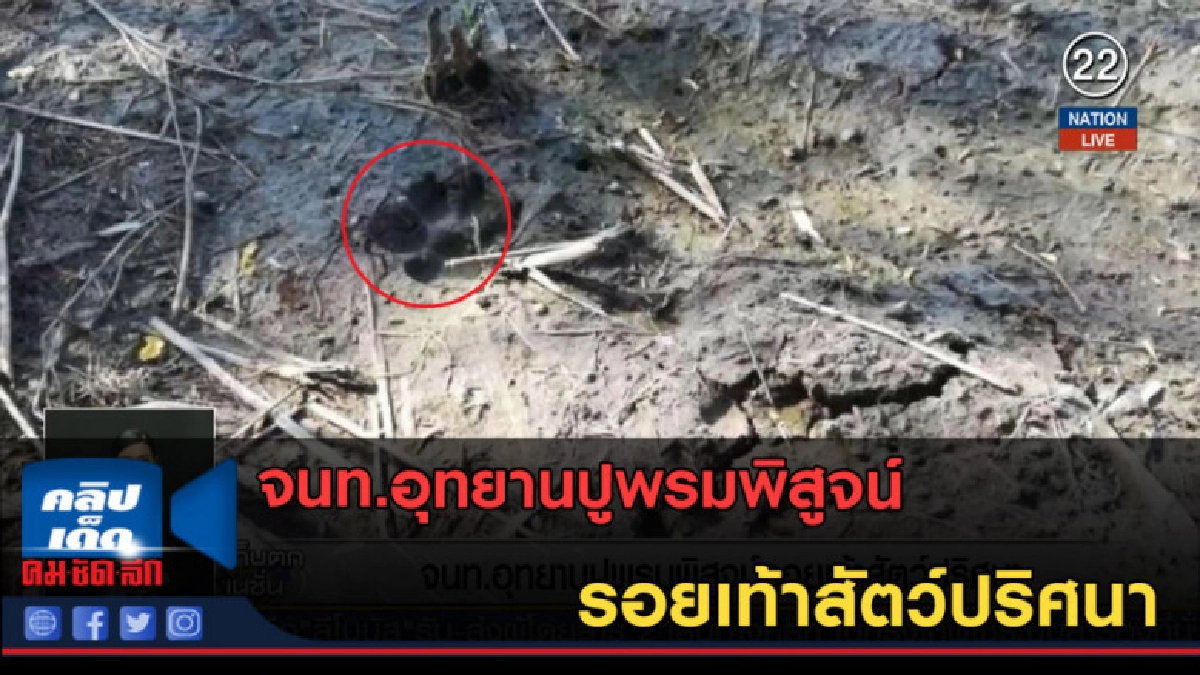 (คลิปข่าว) จนท.อุทยานปูพรมพิสูจน์ รอยเท้าสัตว์ปริศนา (คลิปข่าว) จนท.อุทยานปูพรมพิสูจน์ รอยเท้าสัตว์ปริศนา