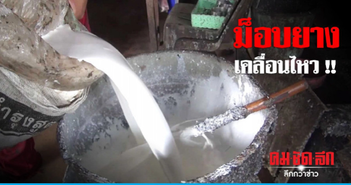 ราคาวูบหนัก "ม็อบยาง" เคลื่อนไหว !! ราคาวูบหนัก "ม็อบยาง" เคลื่อนไหว !!