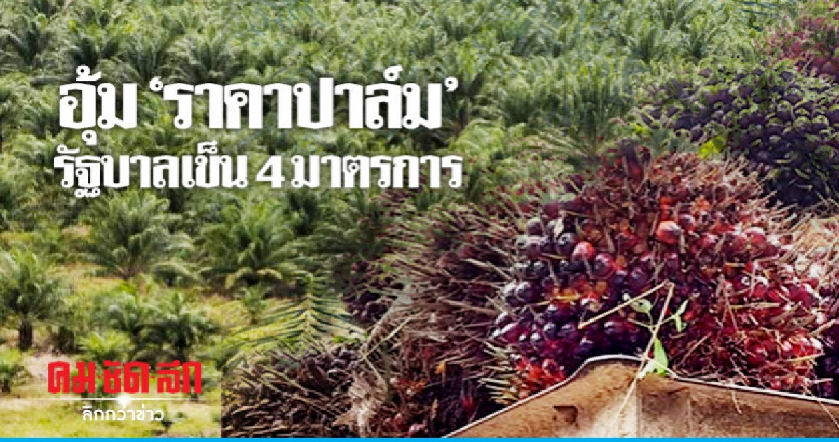 "บิ๊กตู่" สั่ง ก.เษตรฯหาวิธีช่วยชาวสวนยางใน 7 วัน "บิ๊กตู่" สั่ง ก.เษตรฯหาวิธีช่วยชาวสวนยางใน 7 วัน