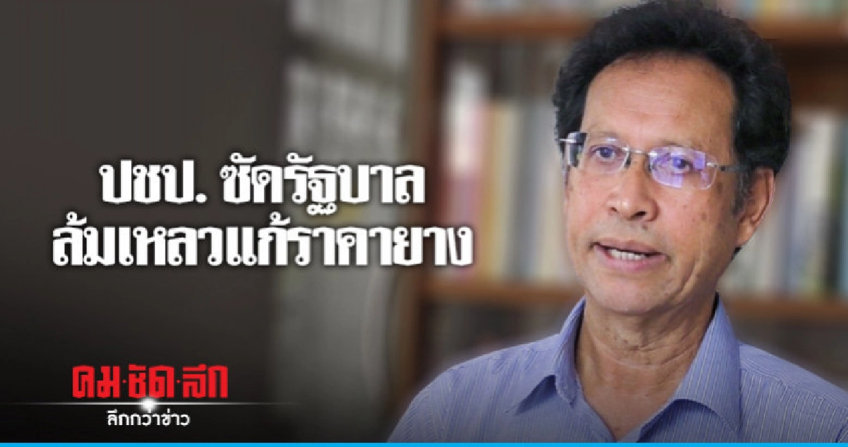 ปชป. โวเป็นรัฐบาลแก้ปัญหายาง-ปาล์มได้ ปชป. โวเป็นรัฐบาลแก้ปัญหายาง-ปาล์มได้