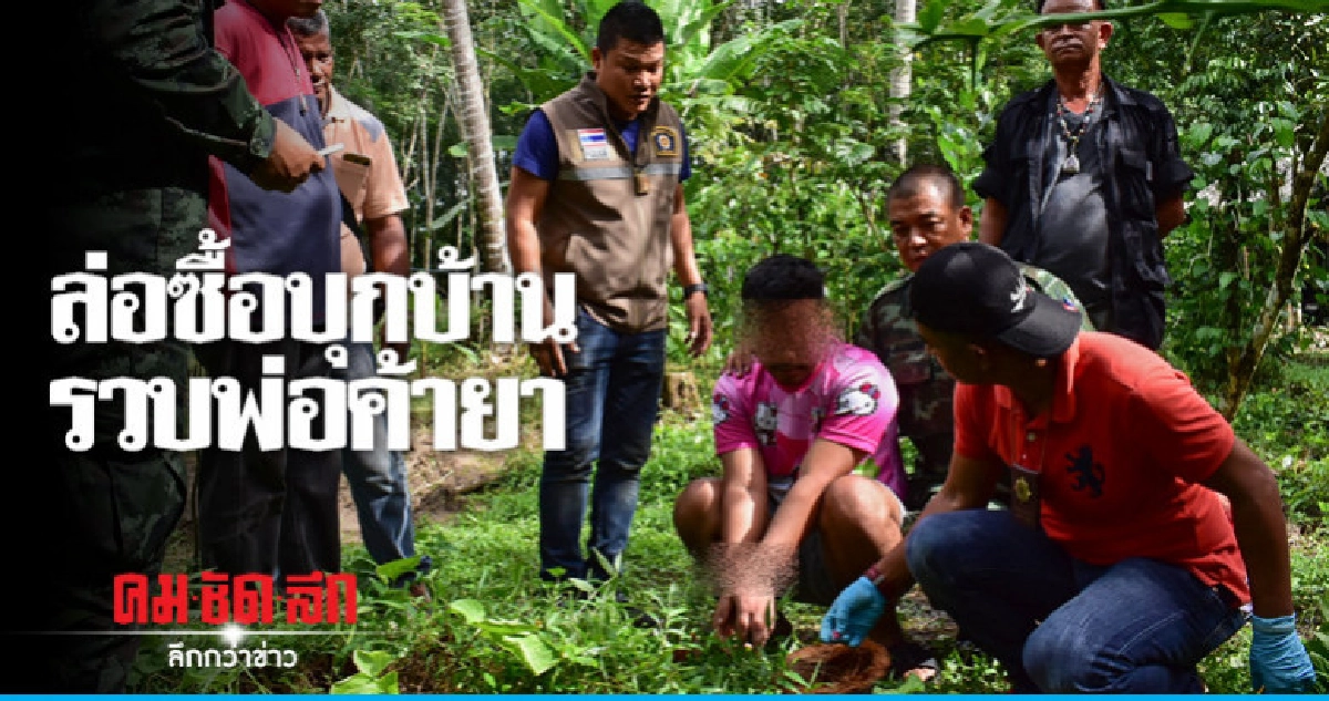 ซุกยาบ้าในเปลือกมะพร้าว ซุกยาบ้าในเปลือกมะพร้าว