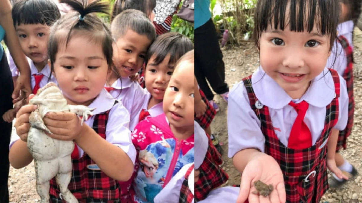 น่ารัก! เผยประสบการณ์นอกห้องเรียนเรื่อง กบ ของหนูน้อยปฐมวัย น่ารัก! เผยประสบการณ์นอกห้องเรียนเรื่อง กบ ของหนูน้อยปฐมวัย