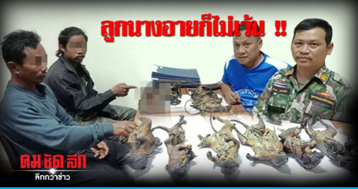 รวบ2นายพรานกลางป่า พร้อมซากนางอาย-กระรอก รวบ2นายพรานกลางป่า พร้อมซากนางอาย-กระรอก