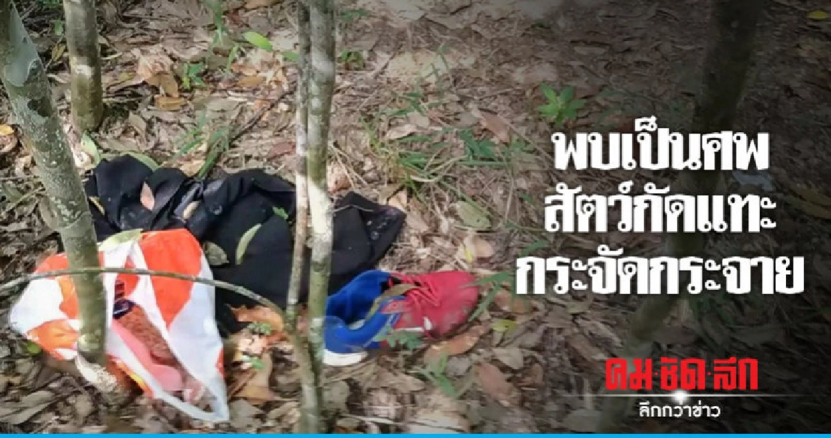 พบศพหลังอ่างเก็บน้ำสายศรถูกสัตว์กัดแทะ พบศพหลังอ่างเก็บน้ำสายศรถูกสัตว์กัดแทะ
