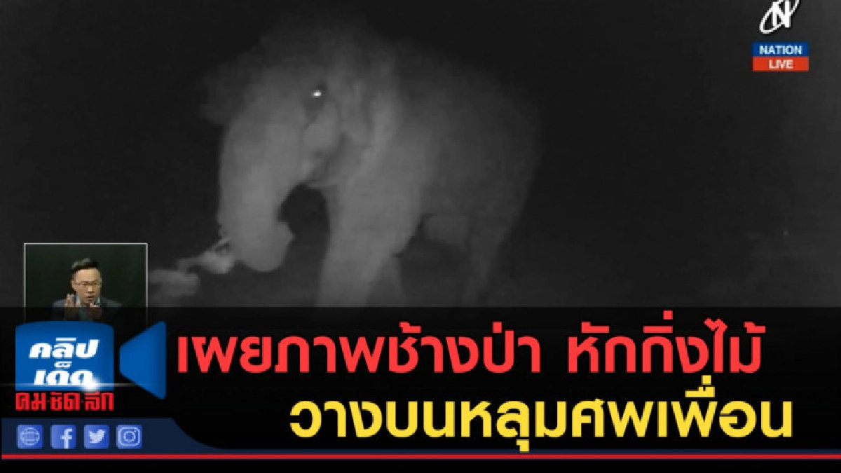 (คลิปข่าว) สุดสลด...เผยภาพช้างป่าหักกิ่งไม้วางบนหลุมศพเพื่อน (คลิปข่าว) สุดสลด...เผยภาพช้างป่าหักกิ่งไม้วางบนหลุมศพเพื่อน