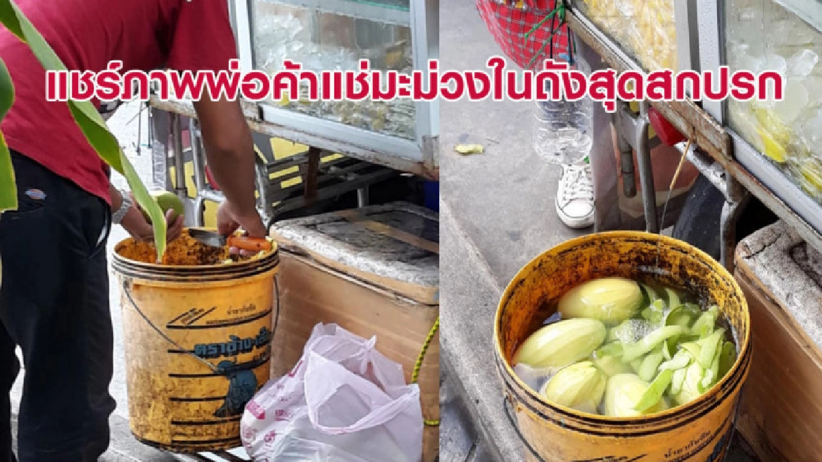 เปลี่ยนถังใหม่บ้าง! แชร์ภาพพ่อค้าแช่มะม่วงในถังสุดสกปรก เปลี่ยนถังใหม่บ้าง! แชร์ภาพพ่อค้าแช่มะม่วงในถังสุดสกปรก