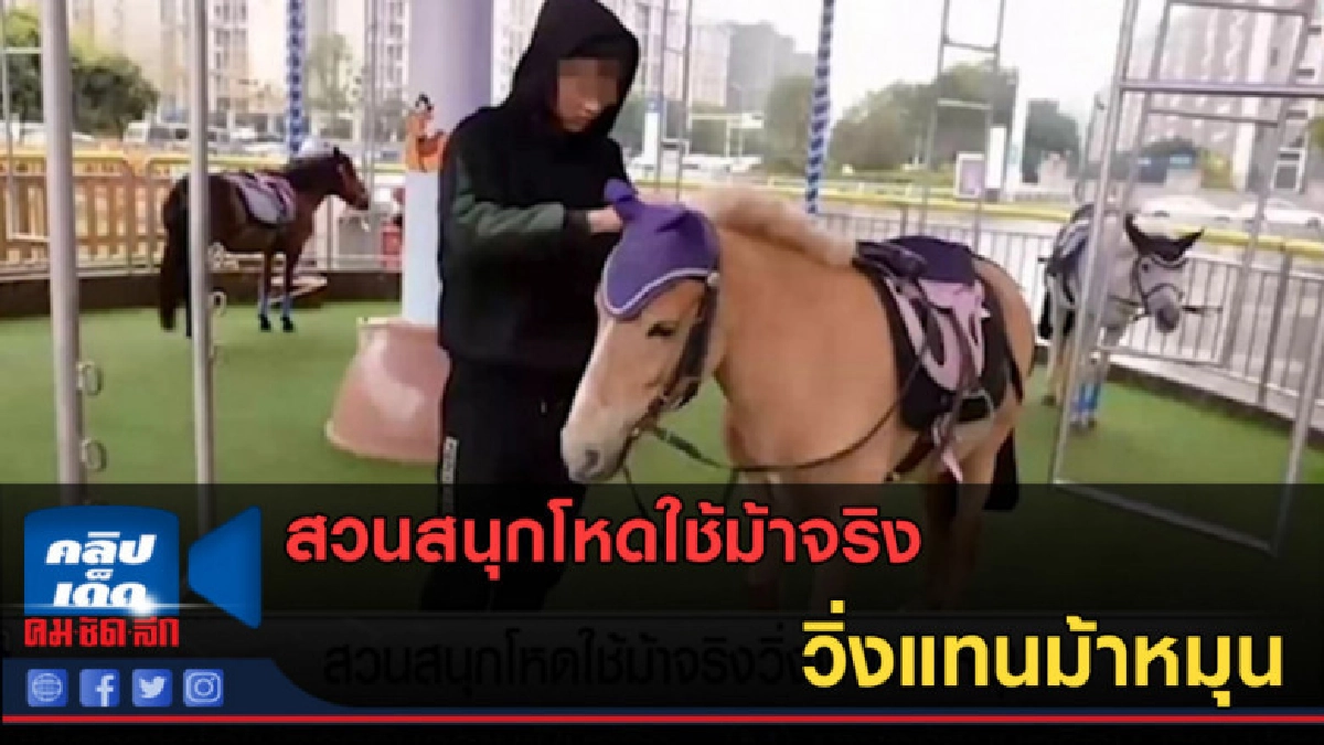 (คลิปข่าว) สวนสนุกโหดใช้ม้าจริงวิ่งแทนม้าหมุน (คลิปข่าว) สวนสนุกโหดใช้ม้าจริงวิ่งแทนม้าหมุน