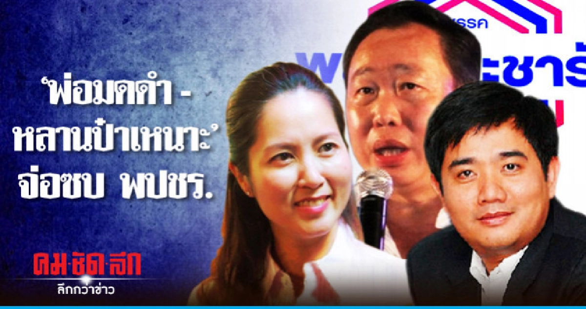 "2 หลานป๋า" ซบ พปชร. ภายใน 26 พ.ย. นี้ "2 หลานป๋า" ซบ พปชร. ภายใน 26 พ.ย. นี้