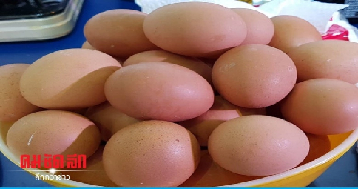 บี้ ! ผู้ผลิตไข่รายใหญ่เร่งส่งออกไข่ไก่ 60 ล้านฟอง บี้ ! ผู้ผลิตไข่รายใหญ่เร่งส่งออกไข่ไก่ 60 ล้านฟอง