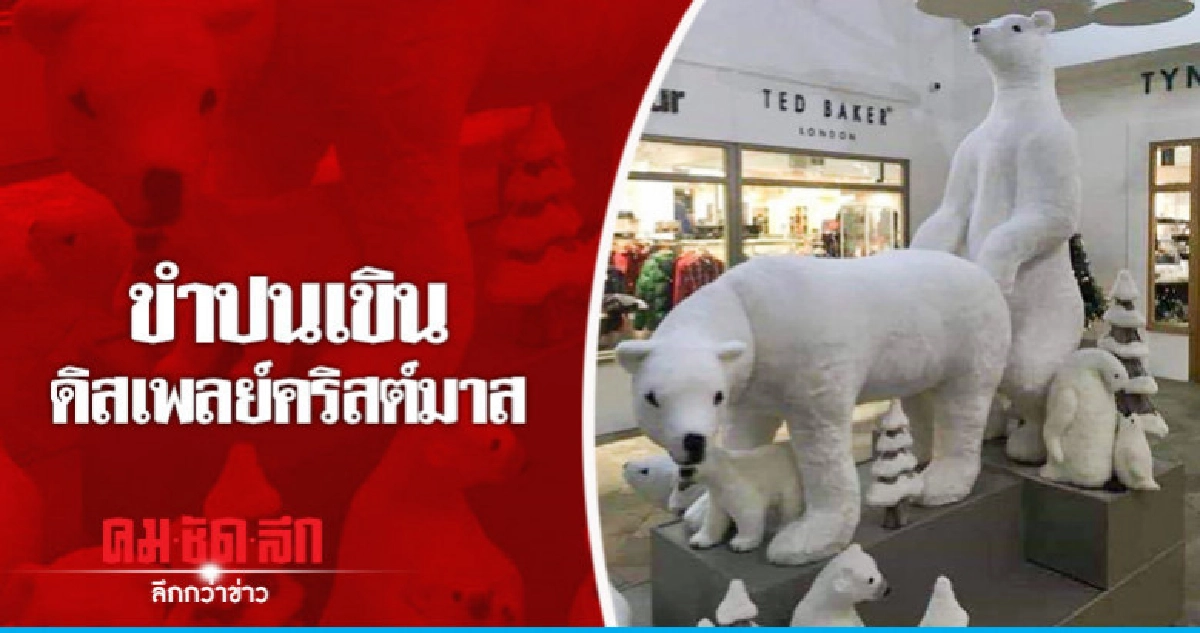 ฮือฮา!ดิสเพลย์หมีขาวขั้วโลกต้อนรับคริสต์มาส