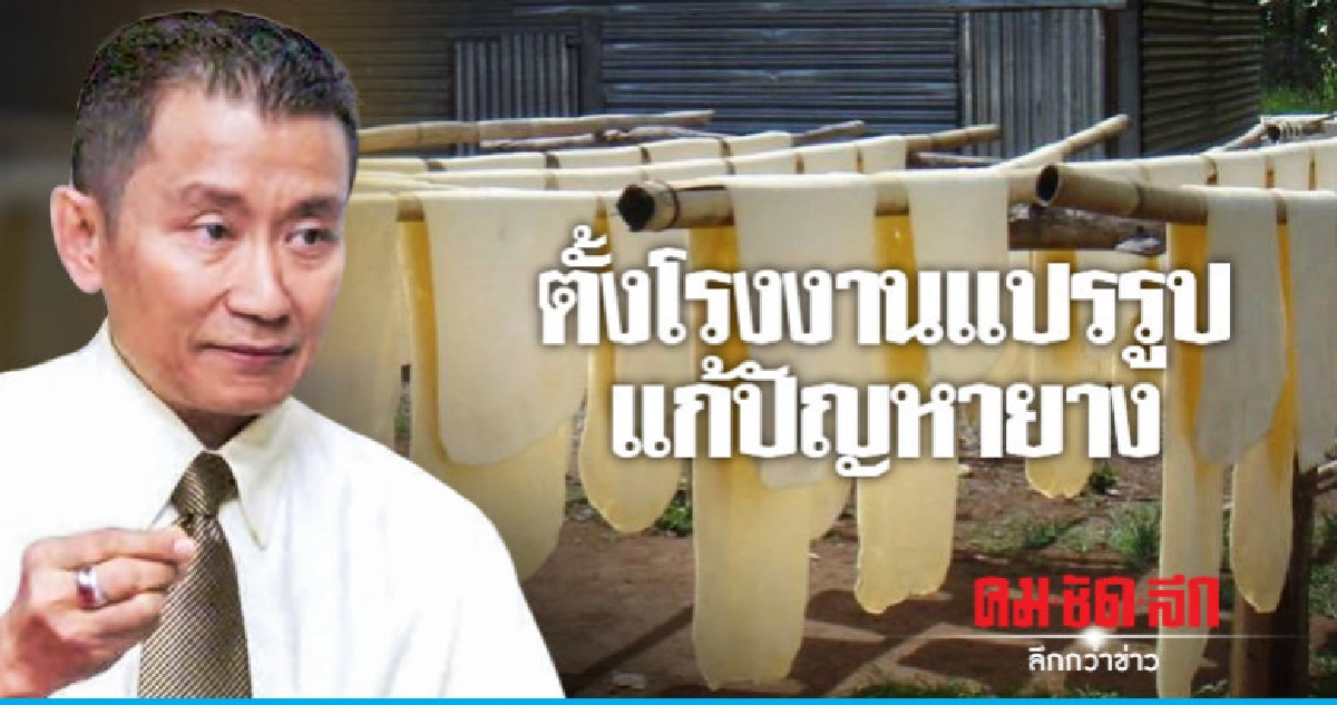 พรรคประชาชาติ แนะรัฐตั้งโรงงานแปรรูปแก้ปัญหายาง พรรคประชาชาติ แนะรัฐตั้งโรงงานแปรรูปแก้ปัญหายาง
