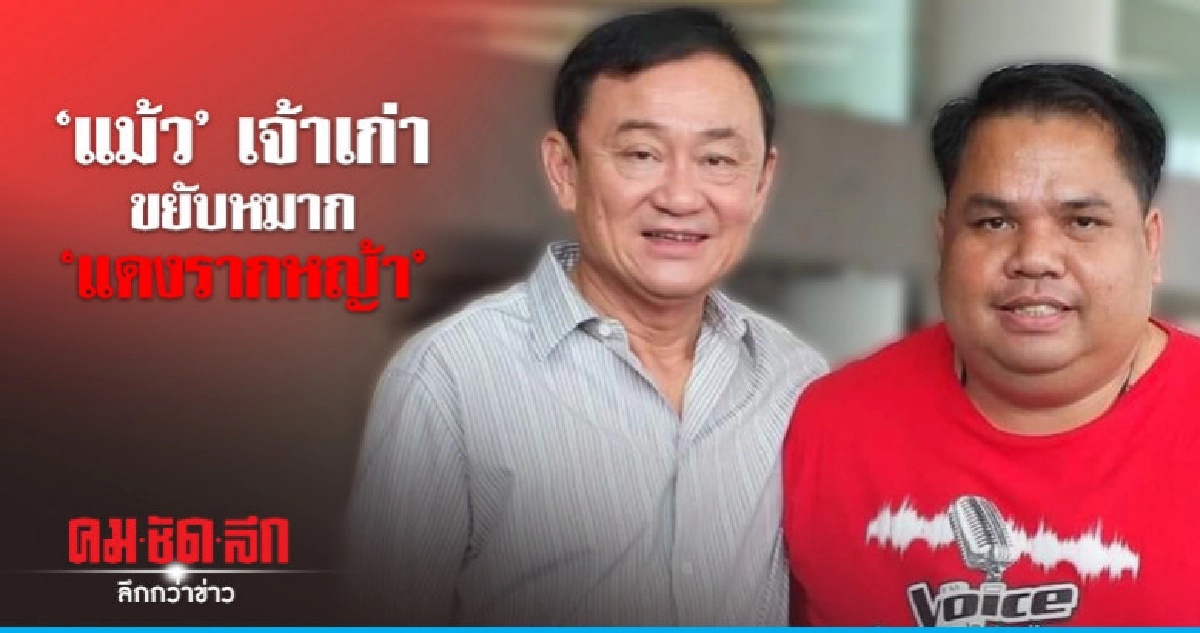"แม้ว" เจ้าเก่า ขยับหมาก "แดงรากหญ้า" 