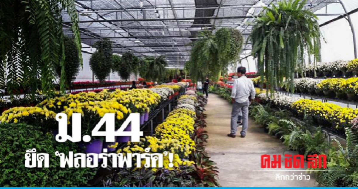 ไฟเขียวส.ป.ก.ใช้ม.44 ยึด"ฟลอร่าพาร์ค"