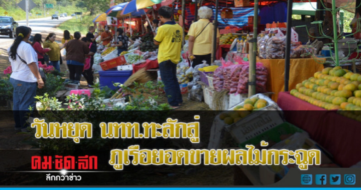 เลย - วันหยุด นทท.ทะลักสู่ภูเรือยอดขายผลไม้กระฉูด เลย - วันหยุด นทท.ทะลักสู่ภูเรือยอดขายผลไม้กระฉูด