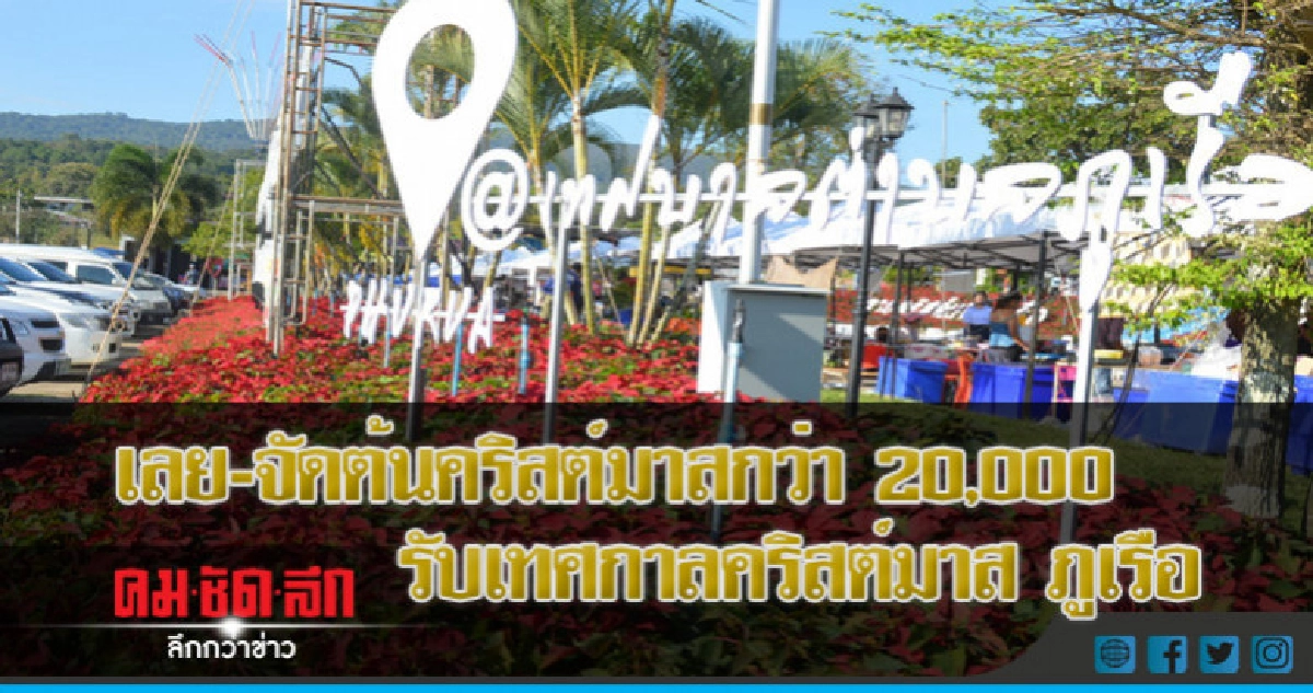 เลย-จัดต้นคริสต์มาสกว่า 20,000 รับเทศกาลคริสต์มาส ภูเรือ เลย-จัดต้นคริสต์มาสกว่า 20,000 รับเทศกาลคริสต์มาส ภูเรือ