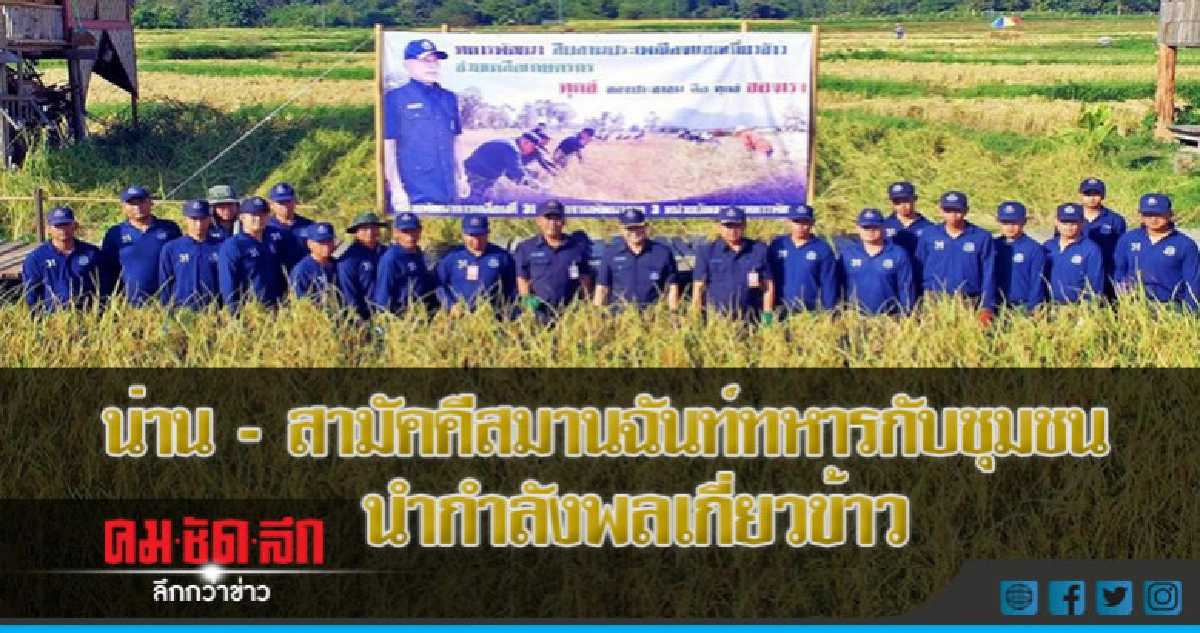 น่าน - สามัคคีสมานฉันท์ทหารกับชุมชนนำกำลังพลเกี่ยวข้าว น่าน - สามัคคีสมานฉันท์ทหารกับชุมชนนำกำลังพลเกี่ยวข้าว