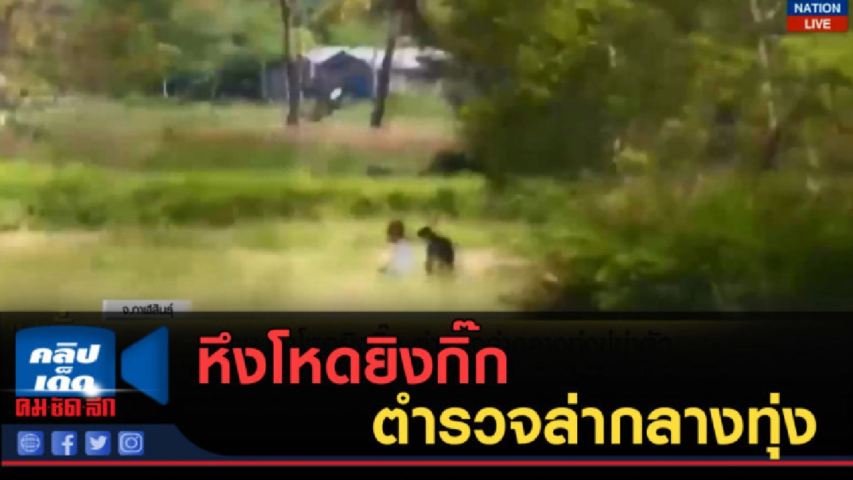(คลิปข่าว) หึงโหดยิงกิ๊ก ตำรวจล่ากลางทุ่งขู่ฆ่าตัวตาย