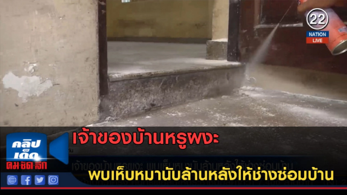 (คลิปข่าว) เจ้าของบ้านหรูผงะ พบเห็บหมานับล้าน