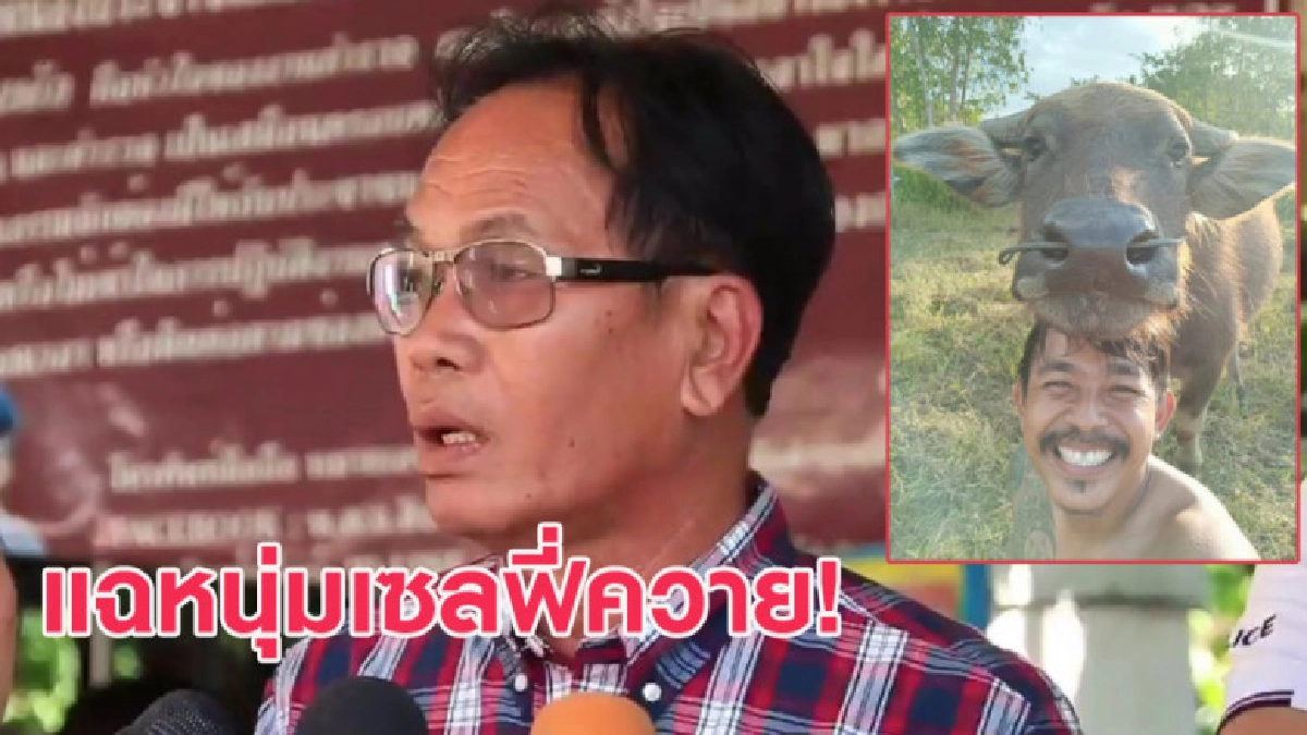 โอละพ่อ! นายก อบต.สุขเดือนห้า ขึ้นโรงพักแฉหนุ่มเซลฟี่ควาย โอละพ่อ! นายก อบต.สุขเดือนห้า ขึ้นโรงพักแฉหนุ่มเซลฟี่ควาย