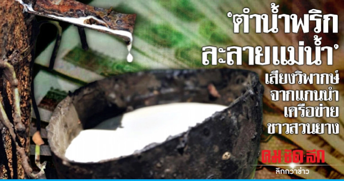 "ตำน้ำพริกละลายแม่น้ำ"เสียงวิพากษ์จากแกนนำเครือข่ายชาวสวนยาง "ตำน้ำพริกละลายแม่น้ำ"เสียงวิพากษ์จากแกนนำเครือข่ายชาวสวนยาง
