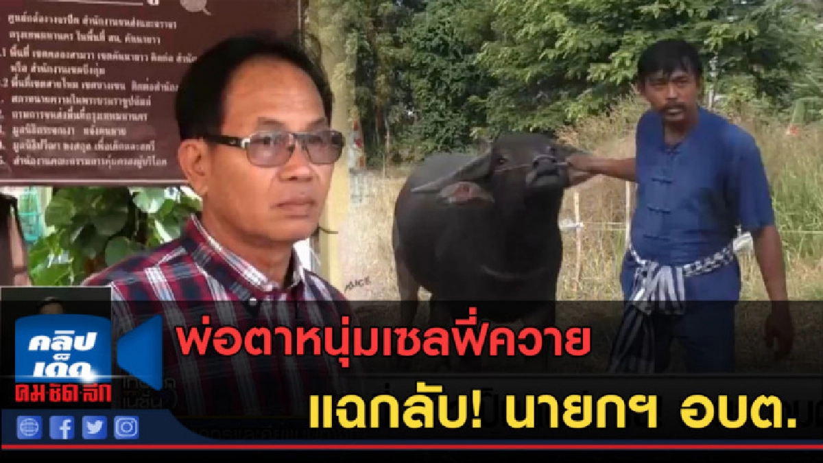 (คลิปข่าว) พ่อตาหนุ่มเซลฟี่ควาย แฉกลับ! นายกฯ อบต.