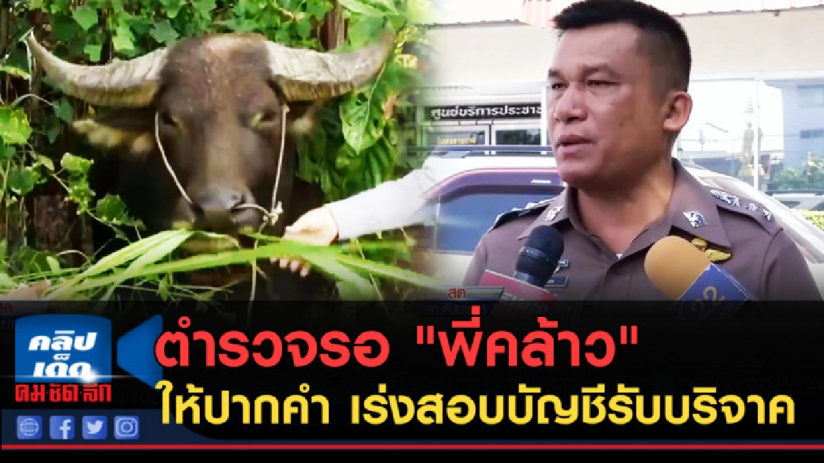 (คลิปข่าว) ตำรวจรอ "พี่คล้าว" ให้ปากคำ เร่งสอบบัญชีรับบริจาค (คลิปข่าว) ตำรวจรอ "พี่คล้าว" ให้ปากคำ เร่งสอบบัญชีรับบริจาค