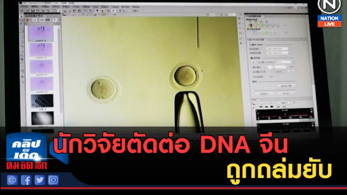 (คลิปข่าว) นักวิจัยตัดต่อ DNA จีน ถูกถล่มยับ (คลิปข่าว) นักวิจัยตัดต่อ DNA จีน ถูกถล่มยับ