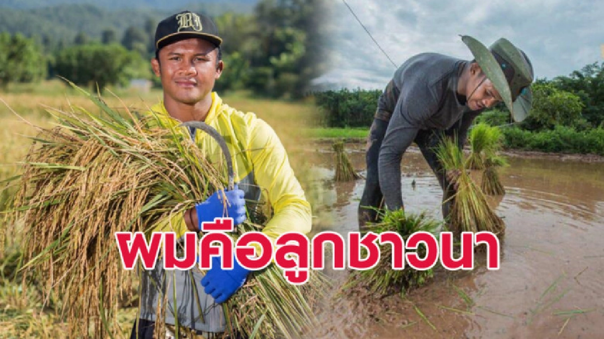 ผมคือชาวนา 'บัวขาว' โพสต์ไม่ลืมรากเหง้าแม้มีชื่อเสียงโด่งดัง ผมคือชาวนา 'บัวขาว' โพสต์ไม่ลืมรากเหง้าแม้มีชื่อเสียงโด่งดัง