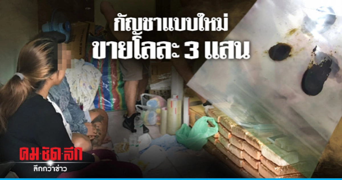 191 รวบผัวเมียลักลอบผลิตยางกัญชาสกัด