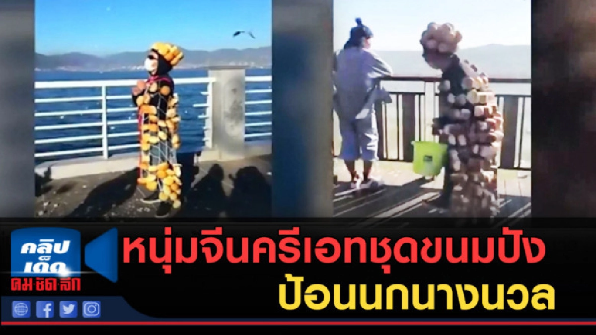 (คลิปข่าว) หนุ่มจีนครีเอทชุดขนมปังป้อนนกนางนวล (คลิปข่าว) หนุ่มจีนครีเอทชุดขนมปังป้อนนกนางนวล