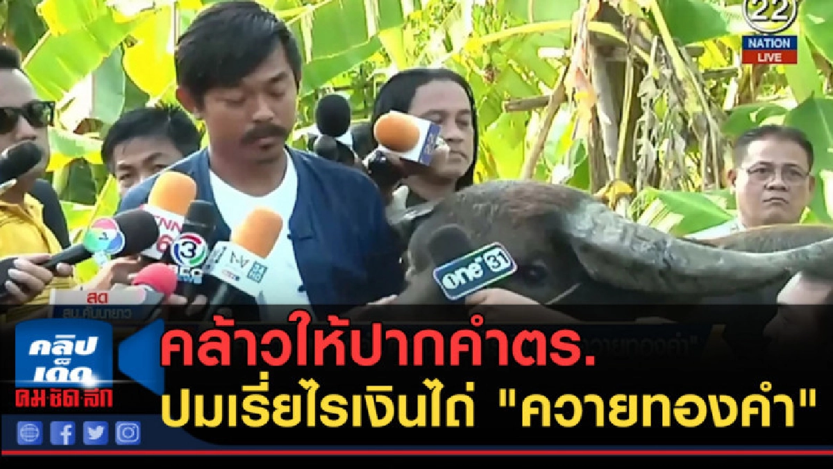 (คลิปข่าว) คล้าวให้ปากคำตร. ปมเรี่ยไรเงินไถ่ "ควายทองคำ" (คลิปข่าว) คล้าวให้ปากคำตร. ปมเรี่ยไรเงินไถ่ "ควายทองคำ"