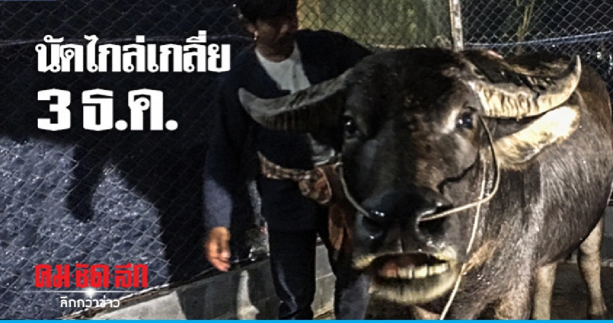 นัดหย่าศึก "พี่คล้าว-นายก อบต." 3 ธ.ค.นี้
