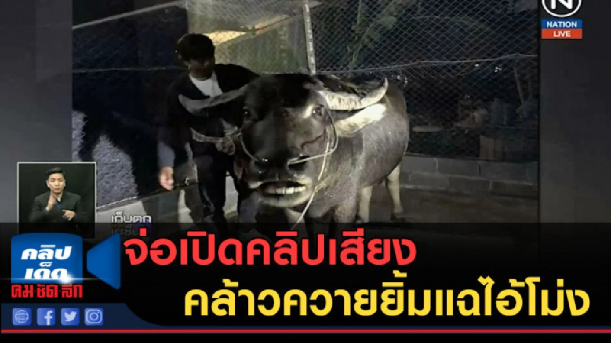 (คลิปข่าว)ทนายสงกานต์ จ่อเปิดคลิปเสียงคล้าวควายยิ้มแฉไอ้โม่ง (คลิปข่าว)ทนายสงกานต์ จ่อเปิดคลิปเสียงคล้าวควายยิ้มแฉไอ้โม่ง