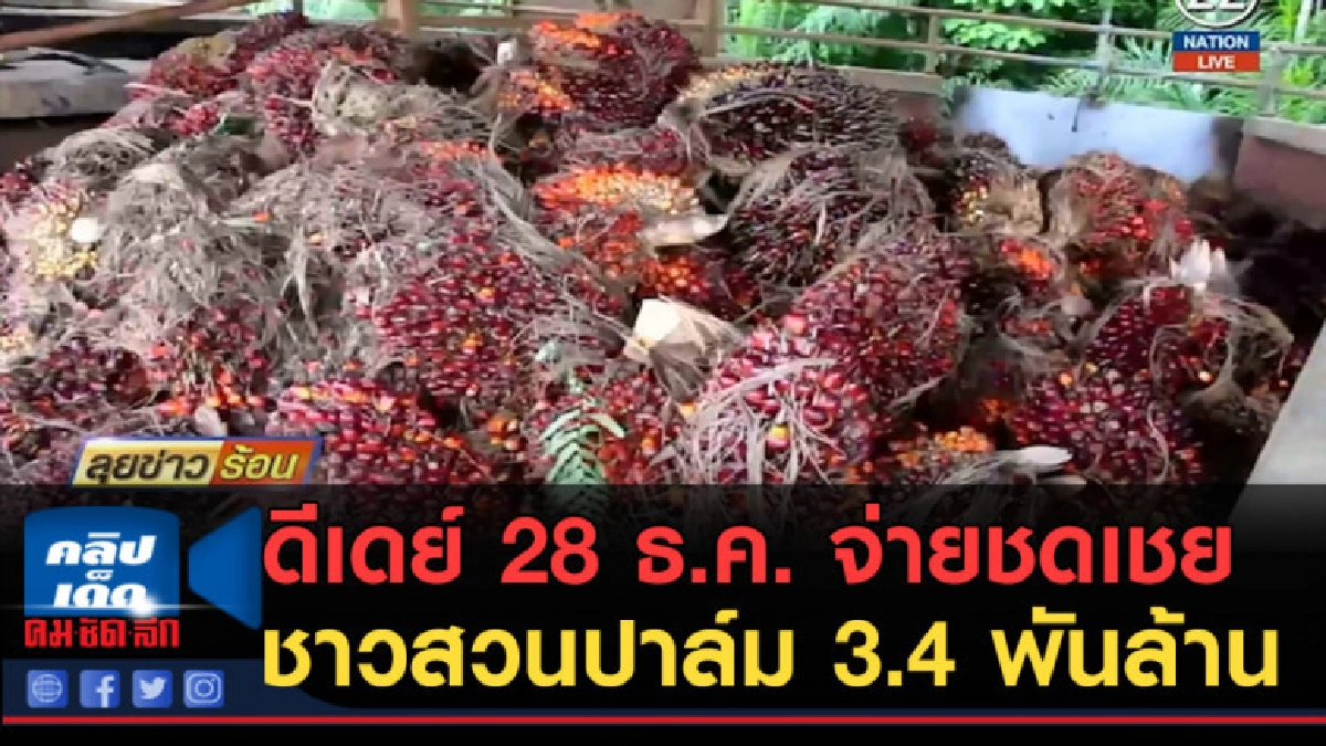 (คลิปข่าว) ดีเดย์ 28 ธ.ค. จ่ายชดเชยชาวสวนปาล์ม 3.4 พันล้าน (คลิปข่าว) ดีเดย์ 28 ธ.ค. จ่ายชดเชยชาวสวนปาล์ม 3.4 พันล้าน