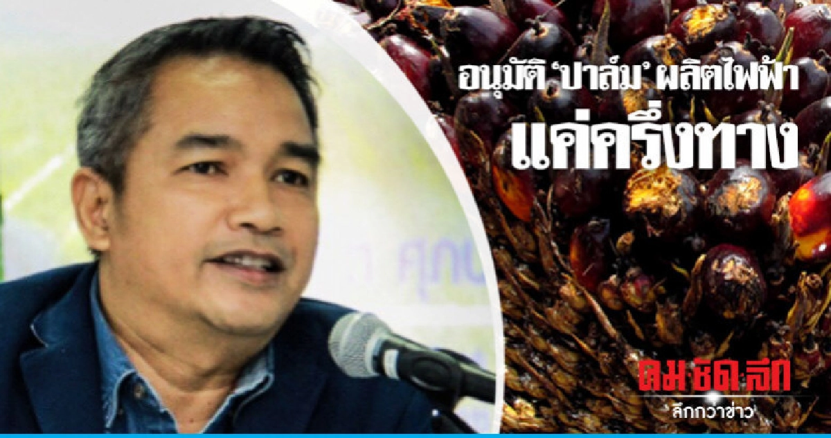 "ภูมิใจไทย" ดีใจรัฐบาลตอบรับแนวทางแก้ปัญหา "ปาล์ม"